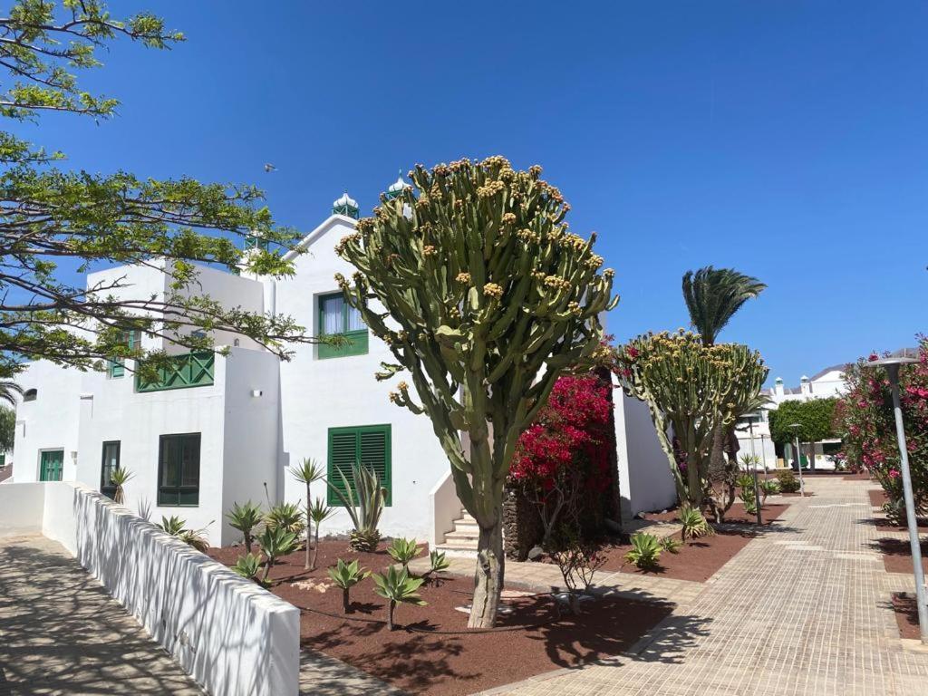 Dorada Sand Apartment Плая Бланка Екстериор снимка